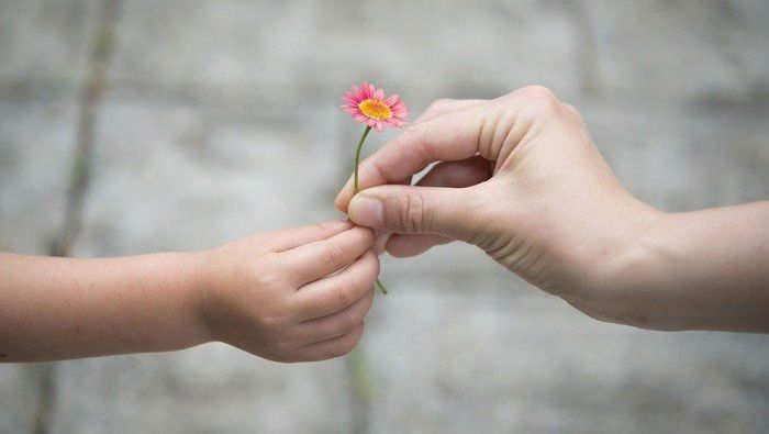 Zwei Kinderhände halten ein Gänseblümchen