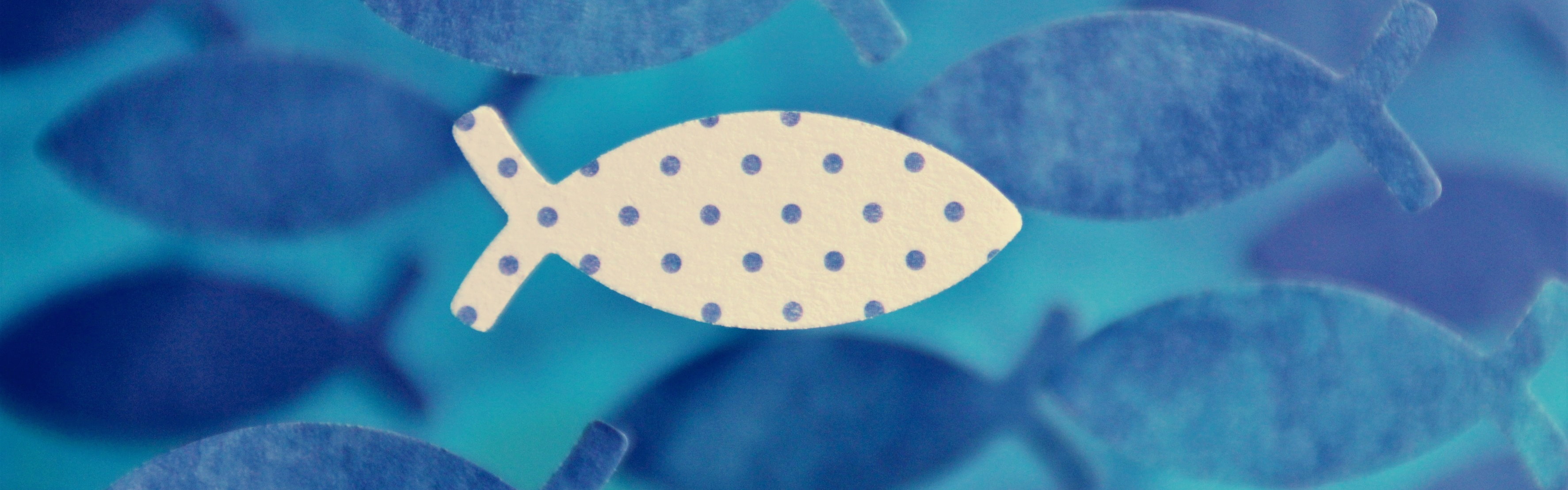 Grafik mit hellem Fisch umgeben von blauen Fischen